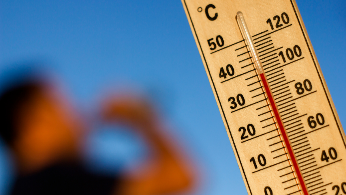 Calor