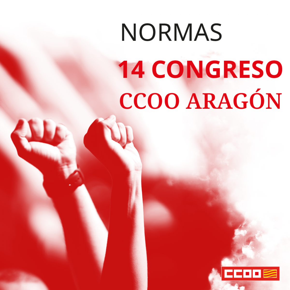 Normas 14 Congreso CCOO Aragn